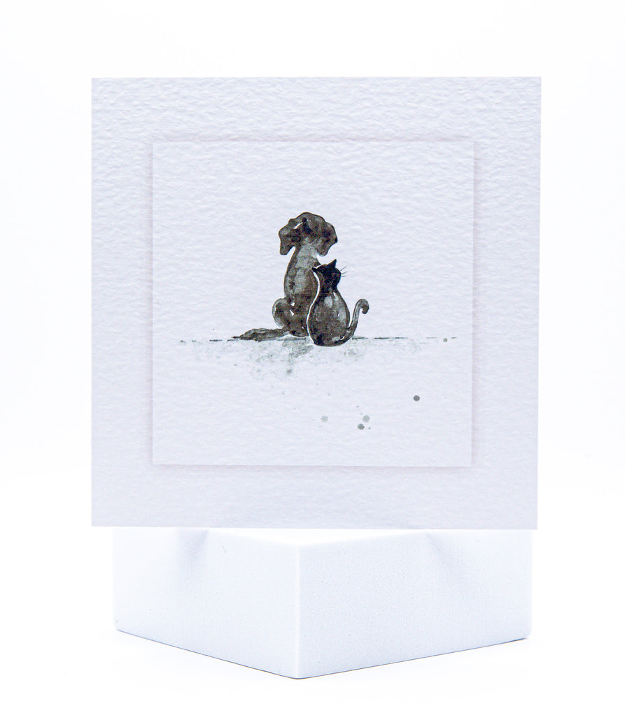 Dog & Cat Designs