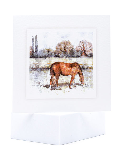Large Animal Hospital Sympathy Card - Grazing Horse