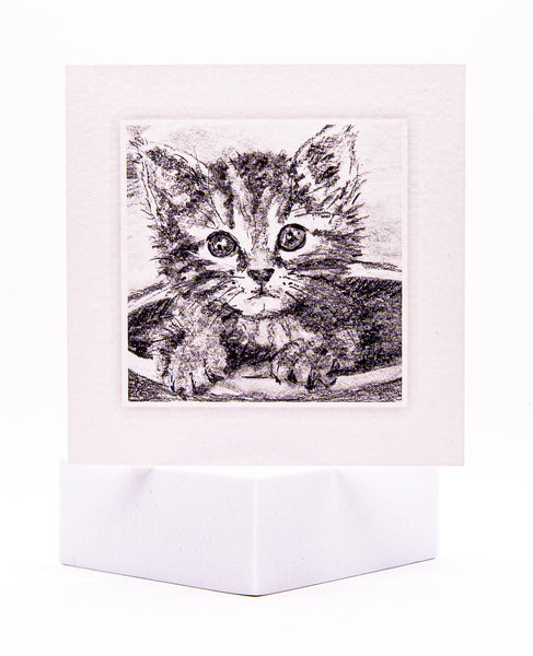 New Kitten Welcome Card