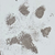 Inkless Paw & Nose Print Kit