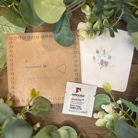 Inkless Paw & Nose Print Kit