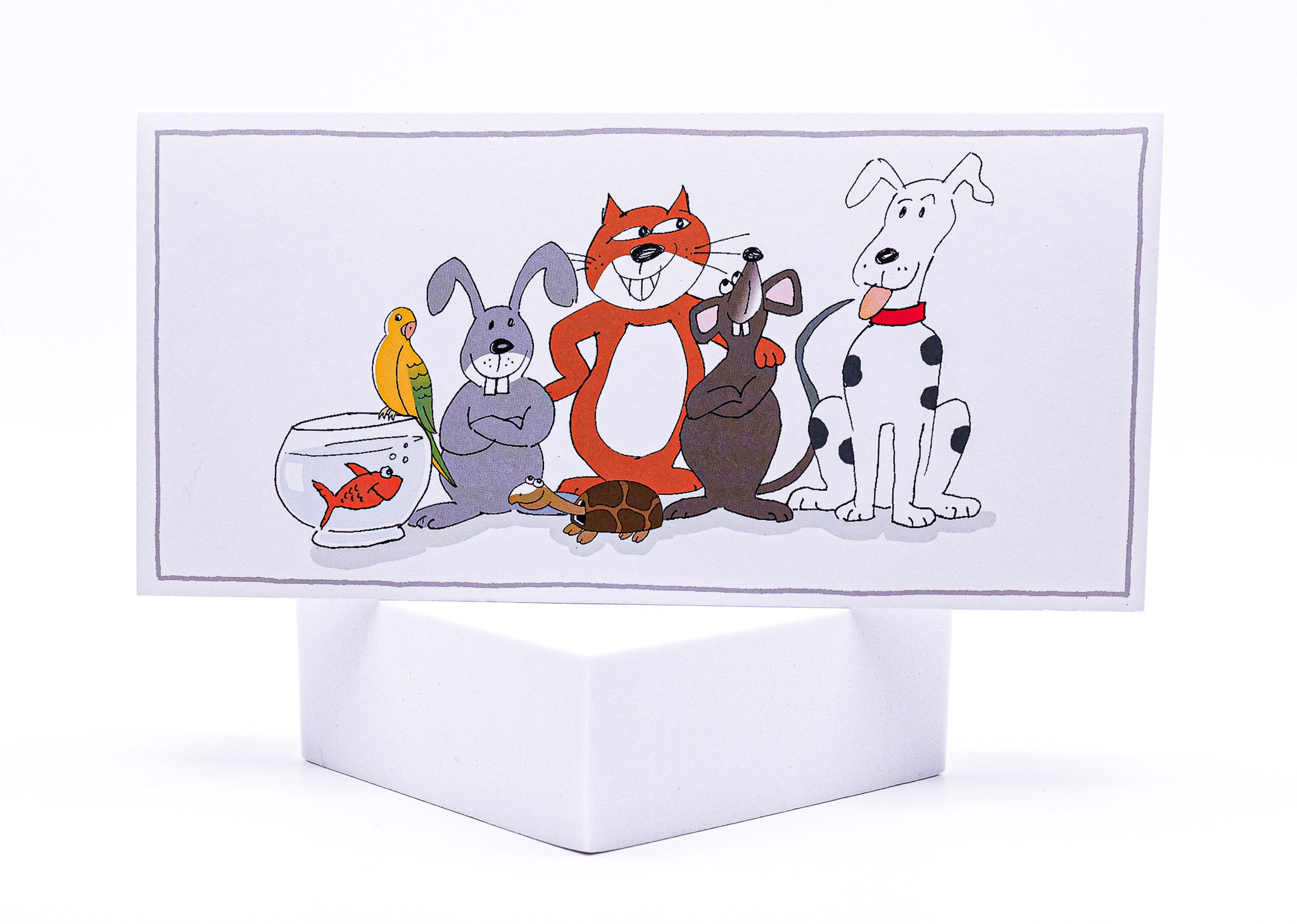 Veterinary Welcome Card for Clients