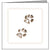 Animal Hospital Sympathy Card - Cat Paws