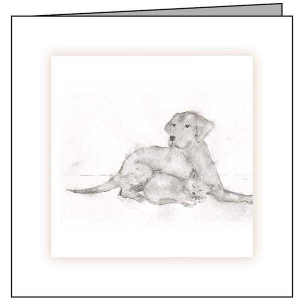 veterinary sympathy card cat dog sketch