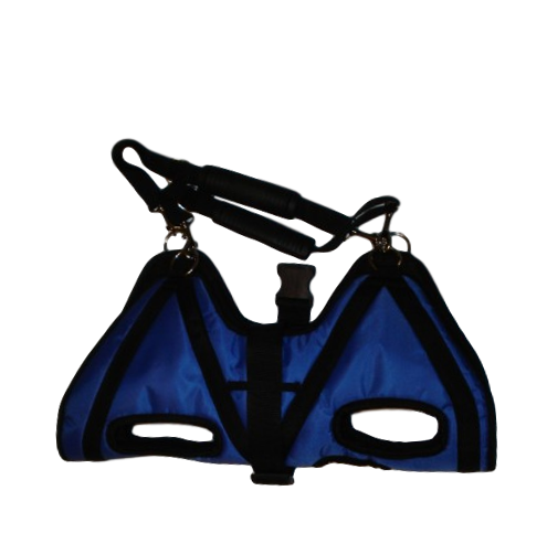 medium sized dog carrier blue strap short distances
