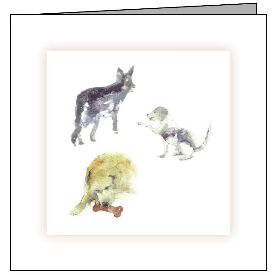 Animal Hospital Sympathy Card - Three Dogs