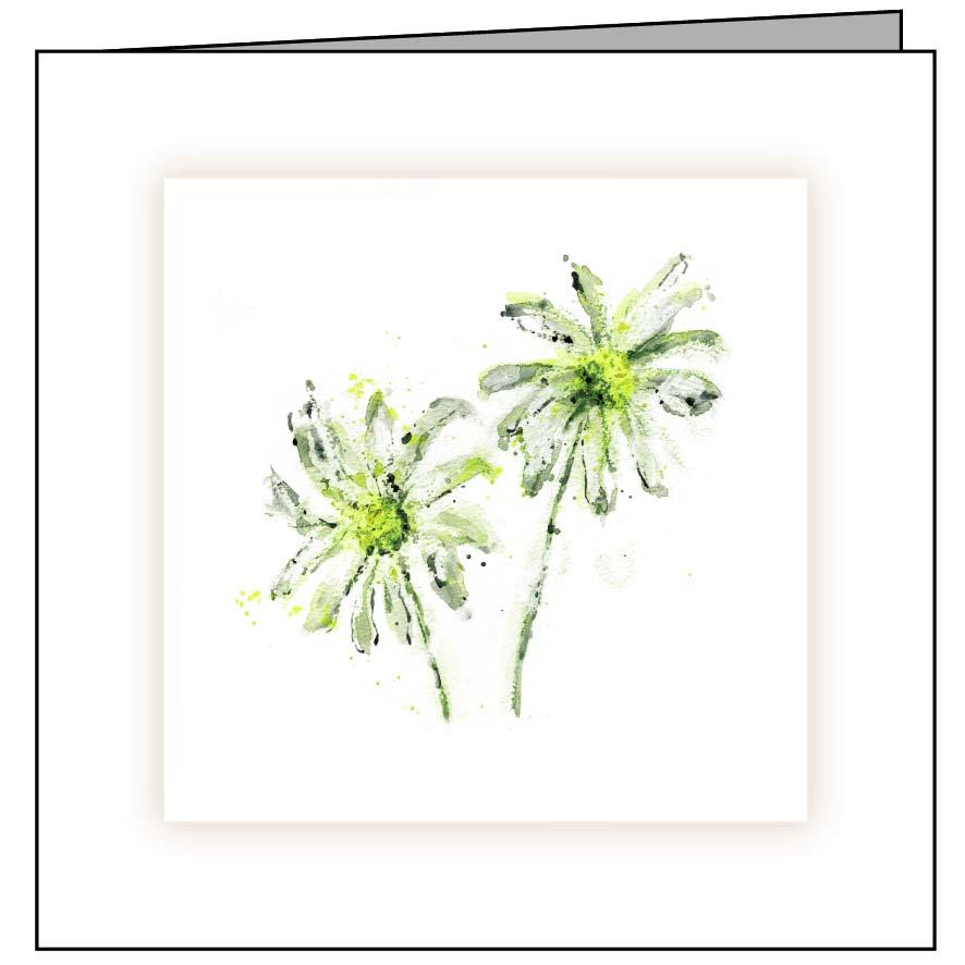 Animal Hospital Sympathy Card - Daisies