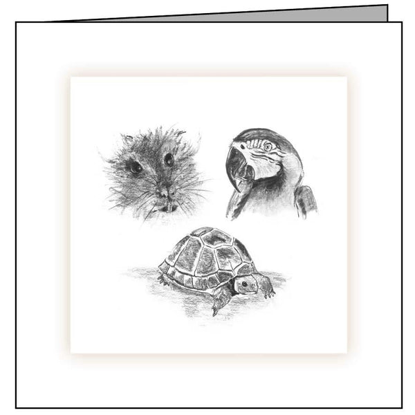 Animal Hospital Sympathy Card - Exotic Pets