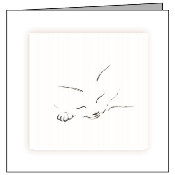 Animal Hospital Sympathy Card - Sleeping Cat