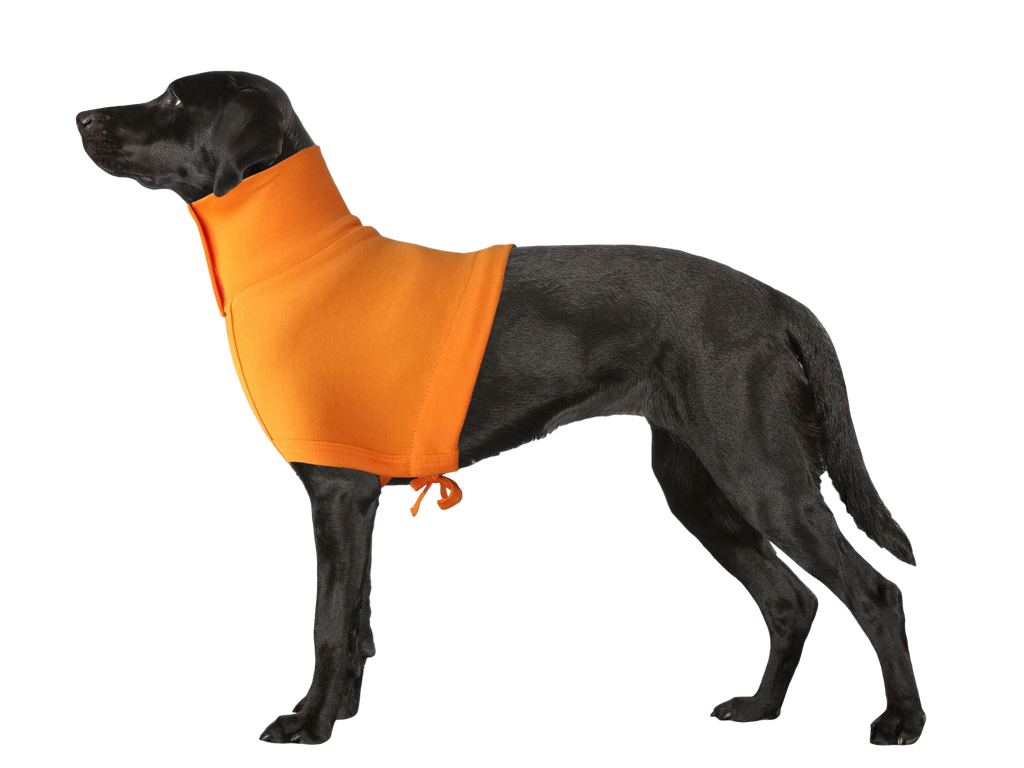 Neck and Upper Body Wound Protection For Dogs