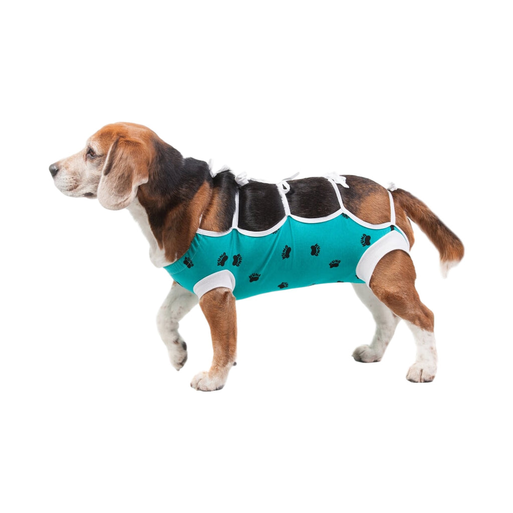Dog store dressing gown