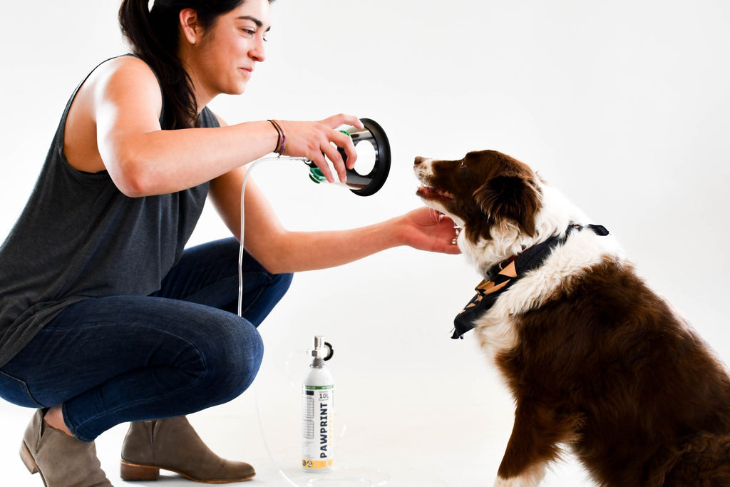 Paw Print Oxygen