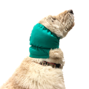 Veterinary Bonnets for Aural Hematomas
