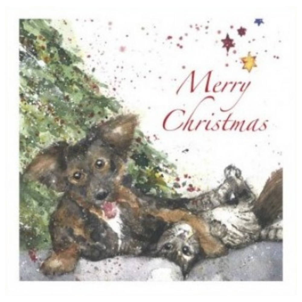 Holiday Card - Dog and Cat