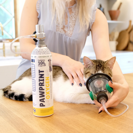 portable oxygen canister pets