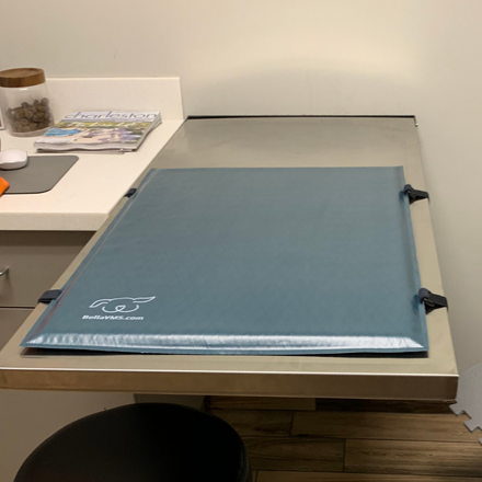 Veterinary Exam Table Mat