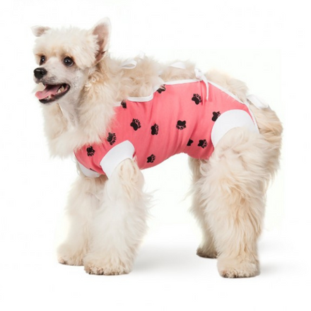 dog surgery pajamas onesie