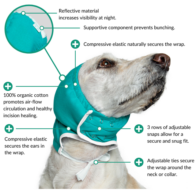 Dog ear ties outlet