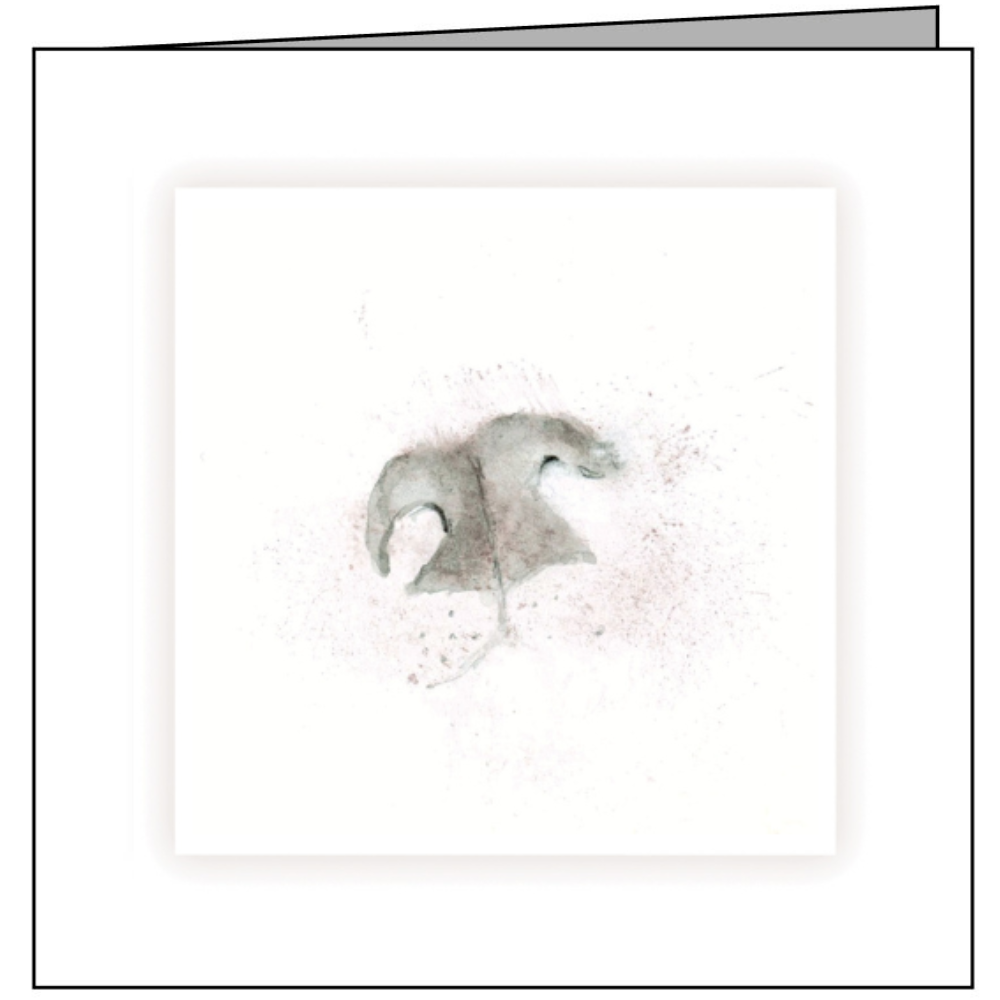 Animal Hospital Sympathy Card - Dog's Nose