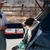 dog in back of car ready for oxygen