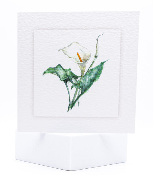 Animal Hospital Sympathy Card - Lily