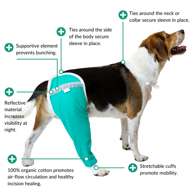 Dog wound bandage hotsell