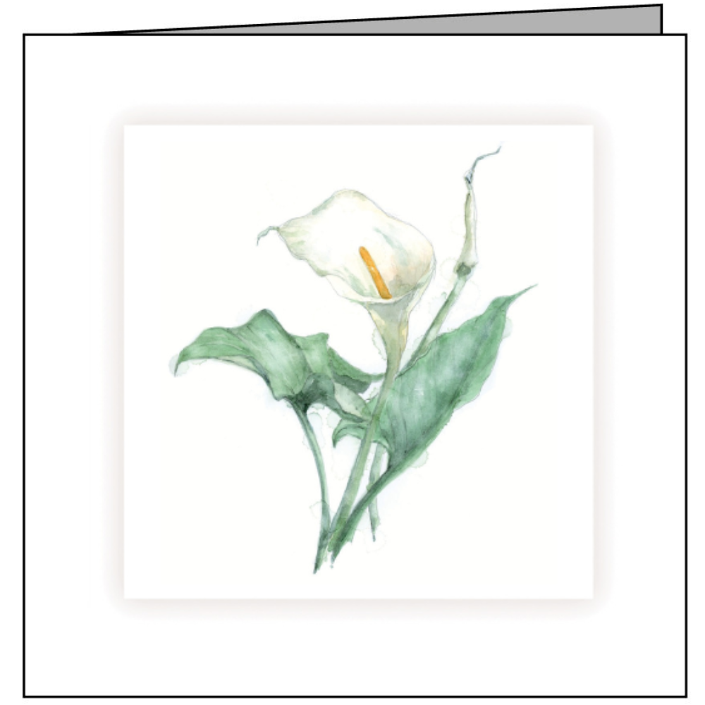 Animal Hospital Sympathy Card - Lily