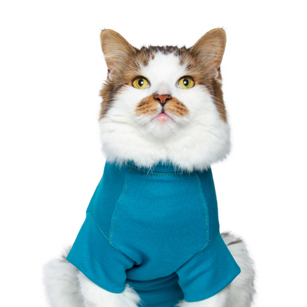 cat recovery suit blue