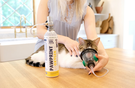 home pet oxygen rescue