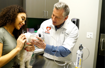 portable veterinary oxygen clinic 