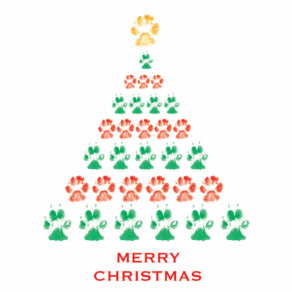 Holiday Card - Tree of Paws