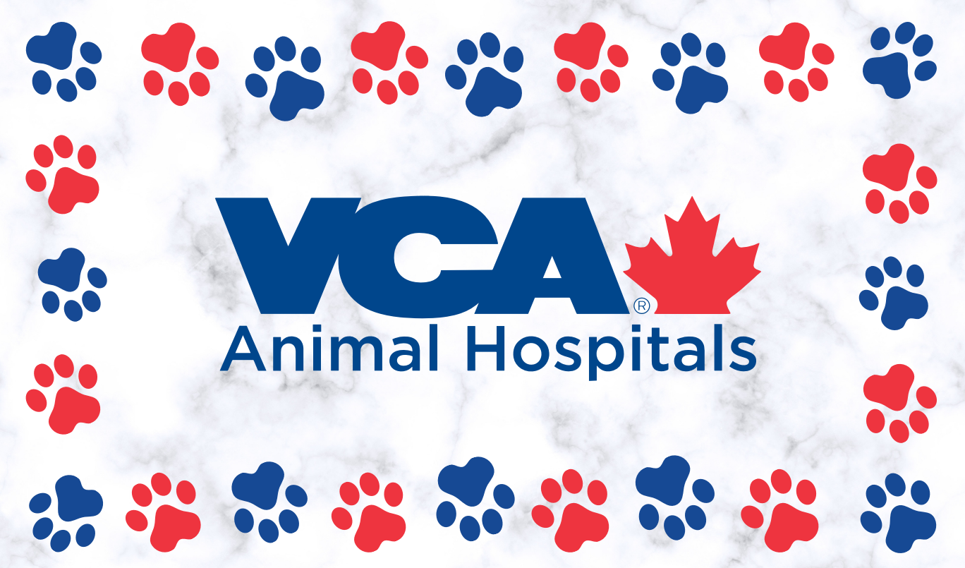 StableTable Mat Veterinary Nonslip Exam Table Mat