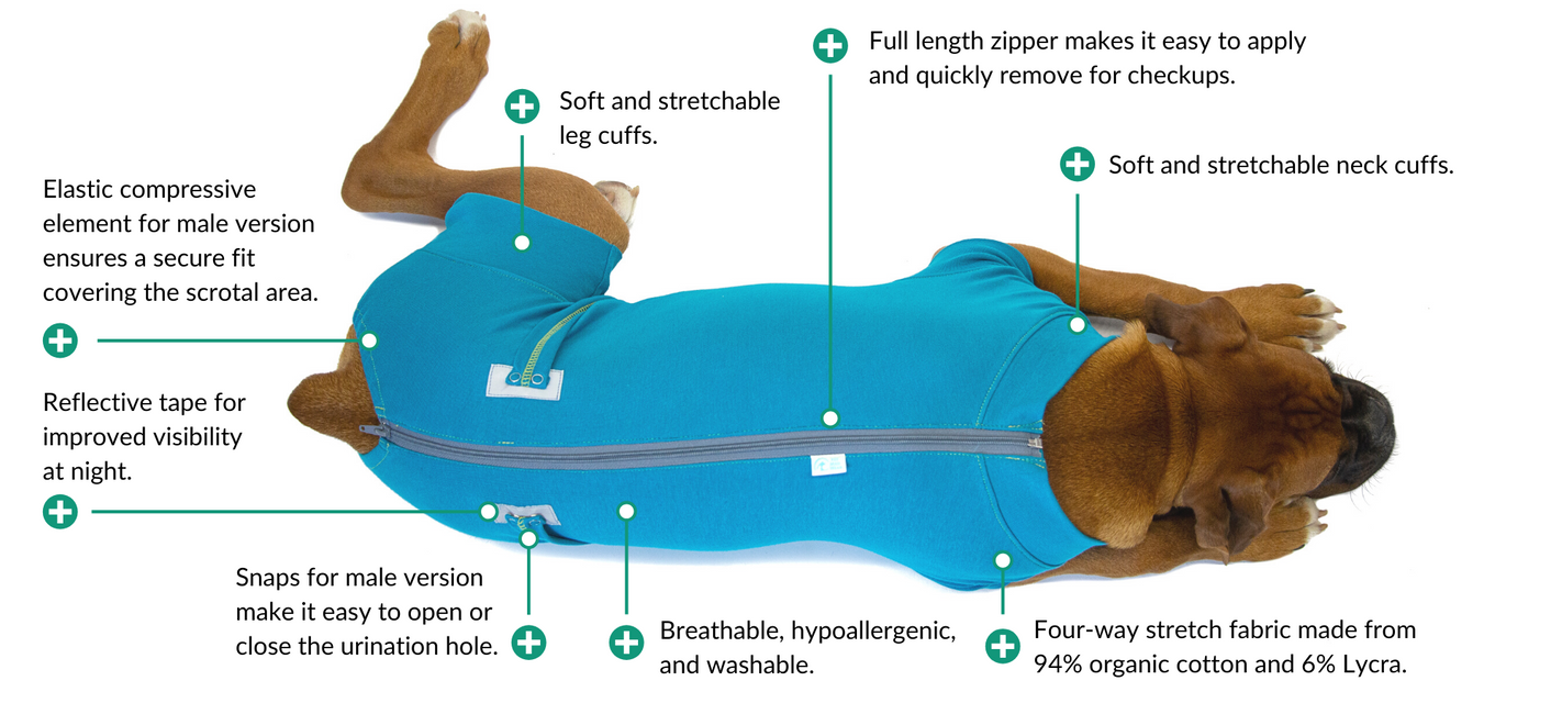 recovery suit blue dog diagram boxer