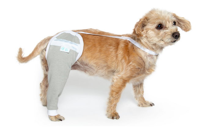 Dog sales sleeve bandage