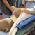 air warming animal hospital