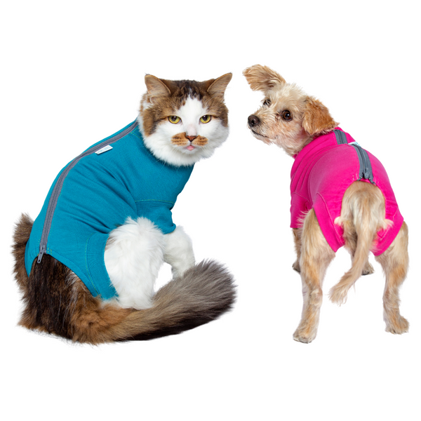 VetMedWear Suit - After Surgery Pet Clothing for Wound Protection