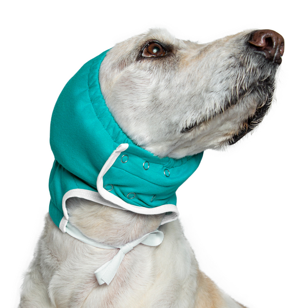 Wound wraps best sale for dogs