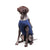 ecollar alternative recovery gown pets dog blue