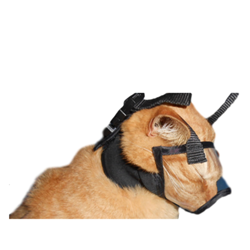dental exam muzzle for cats black purr muzzle strap