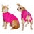 VetMedWear Suit - After Surgery Pet Clothing for Wound Protection