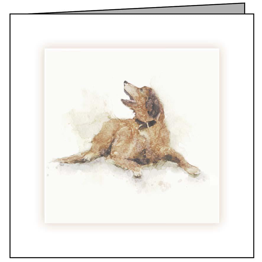 Animal Hospital Sympathy Card - Brown Dog