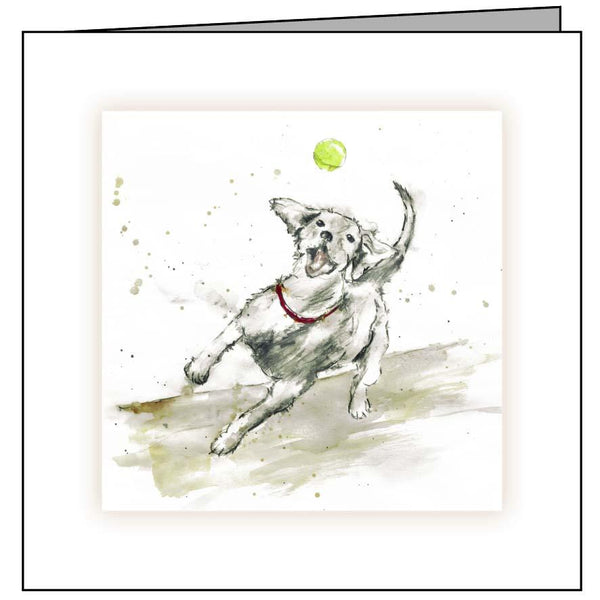 Animal Hospital Sympathy Card - Dog with Ball