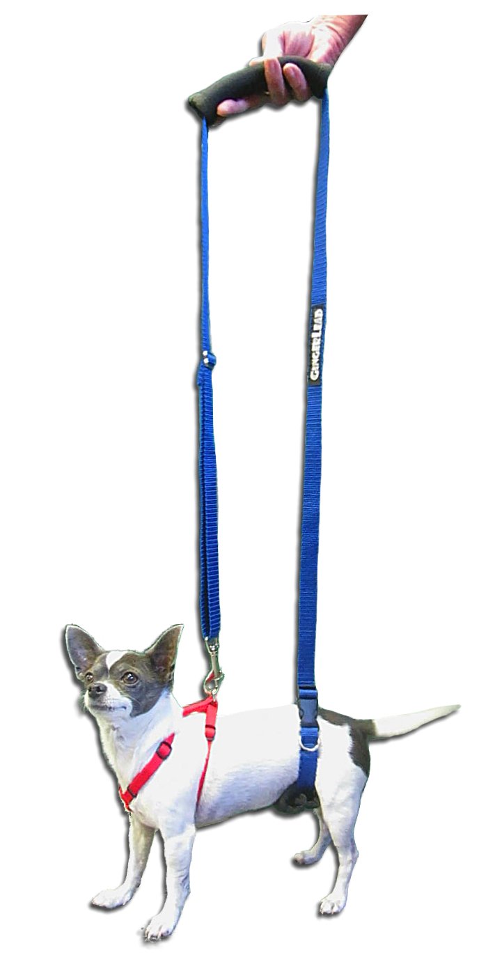 Support Rehabilitation Harness for Dogs - VetMedWear