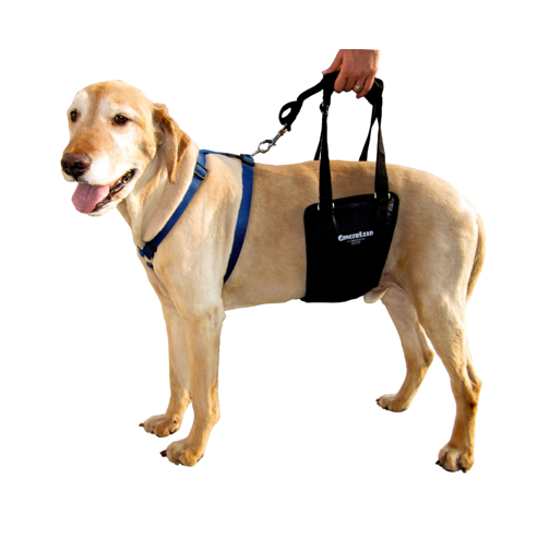 Dog front leg support harness store