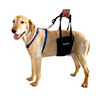 Support Rehabilitation Harness for Dogs GingerLead