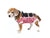 ecollar alternative recovery gown pets dog pink