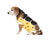 ecollar alternative recovery gown pets dog yellow