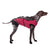 ecollar alternative recovery gown pets dog burgundy