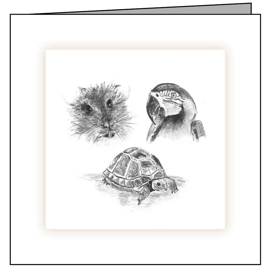 Animal Hospital Sympathy Card - Exotic Pets