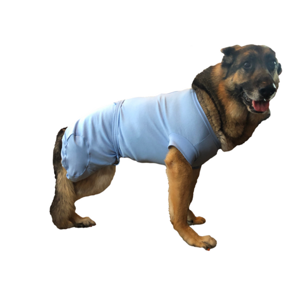 Departments - Suitical Recovery Suit for Dogs Medium Plus Black